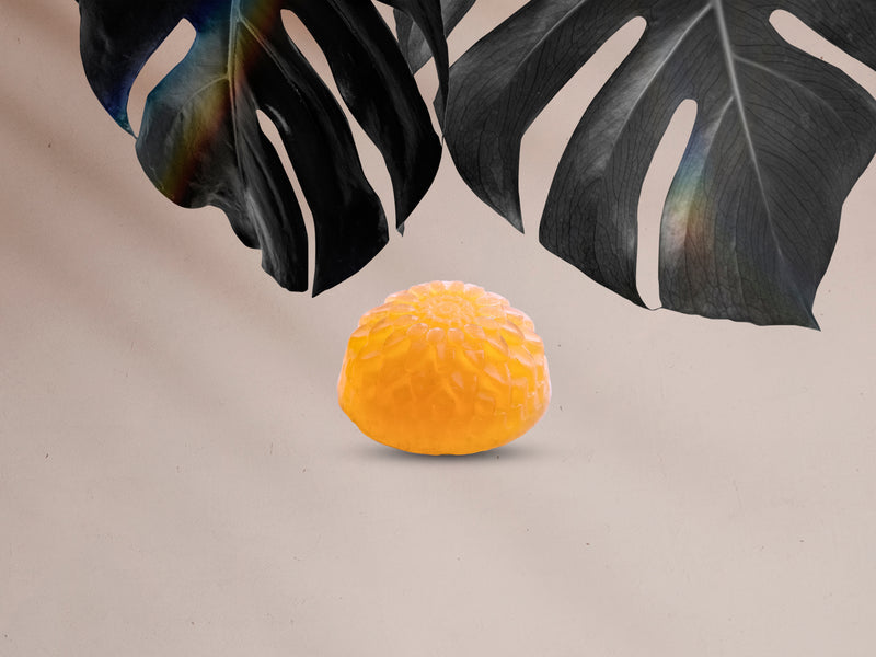 Citra Bloom