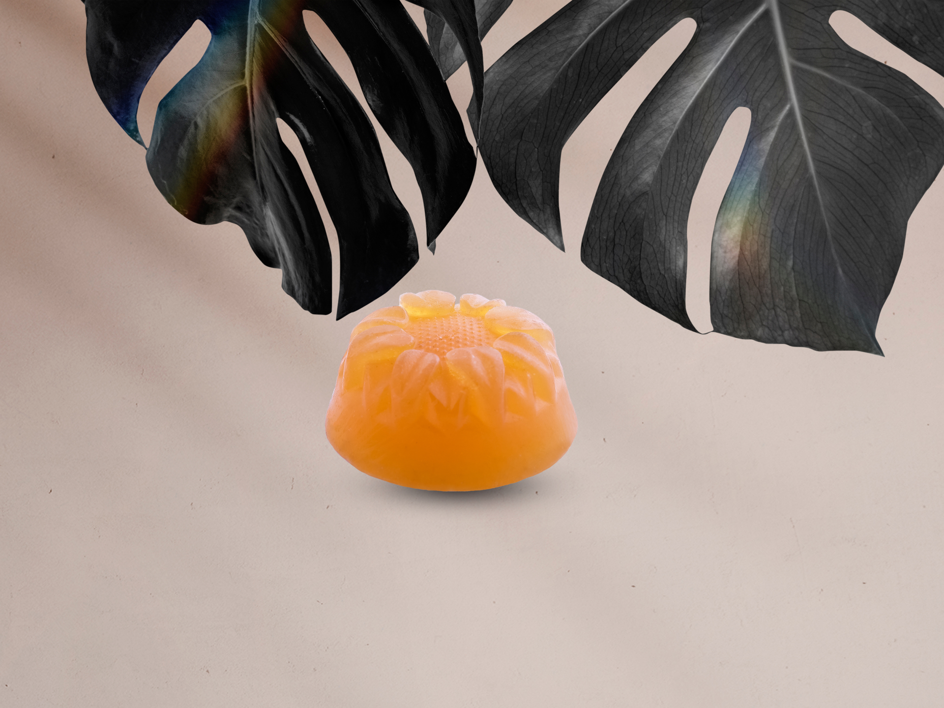 Kasha Bloom - Image 1